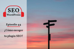 44. ¿Cómo escoger tu plugin SEO para WordPress?