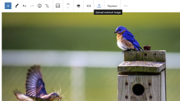 Gutenberg 8.5 Adds Single Gallery Image Editing, Allows Image Uploads From External Sources, and Improves Drag and Drop