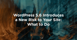 WordPress 5.6 Introduces a New Risk to Your Site: What to Do