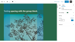 Gutenberg&#8217;s Custom Spacing Should Be Theme Controlled