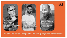 Ciclo de vida completo de un proyecto WordPress