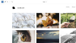 Exploring Photo Blocks, an Experimental FSE-Ready Photoblogging Theme